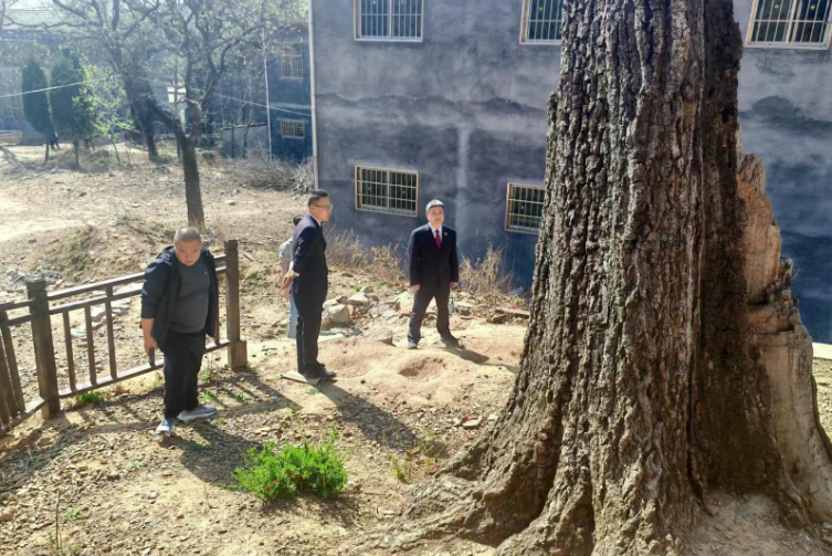 “驿遂”联动 检护青山  共筑防火“长城”