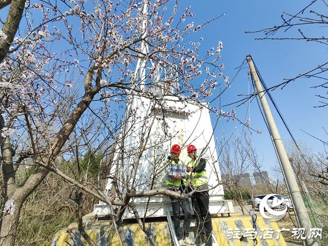 驻马店移动筑牢蔡氏祭祖大典通信保障网