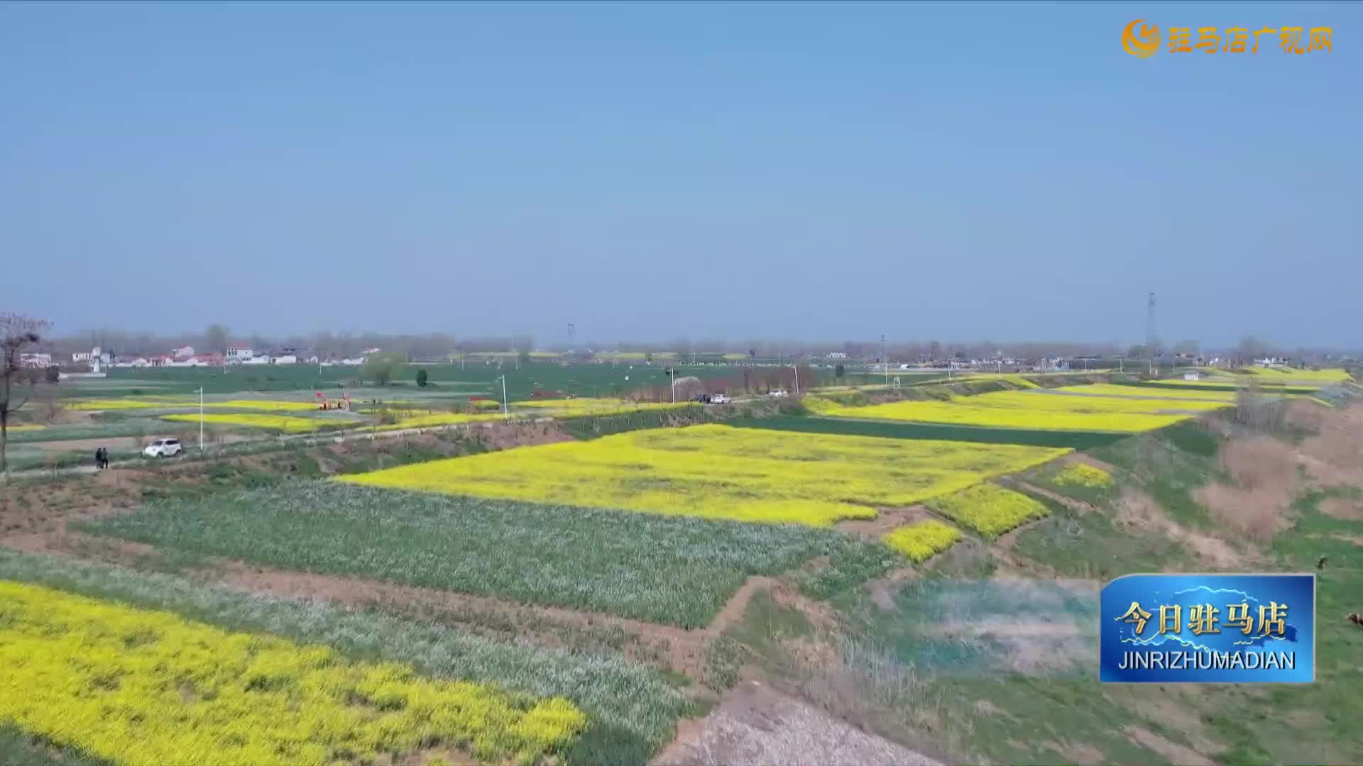 【民生新闻】“以旧换新”助推我市家电市场升温......
