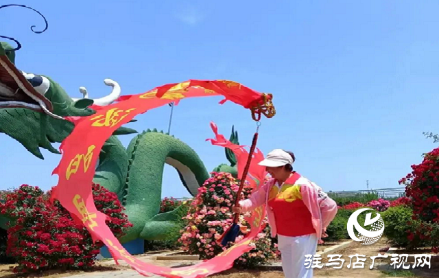 泌阳彩带舞龙队“舞”进南阳月季园 共赴文化交流之约