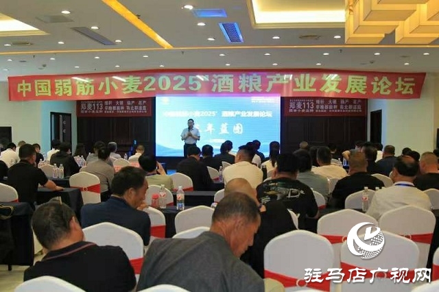  中国弱筋小麦2025'酒粮产业发展论坛在新蔡县举行