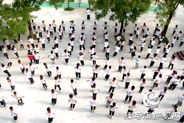 驻马店幼儿师范高等专科学校赴遂平开展帮扶活动