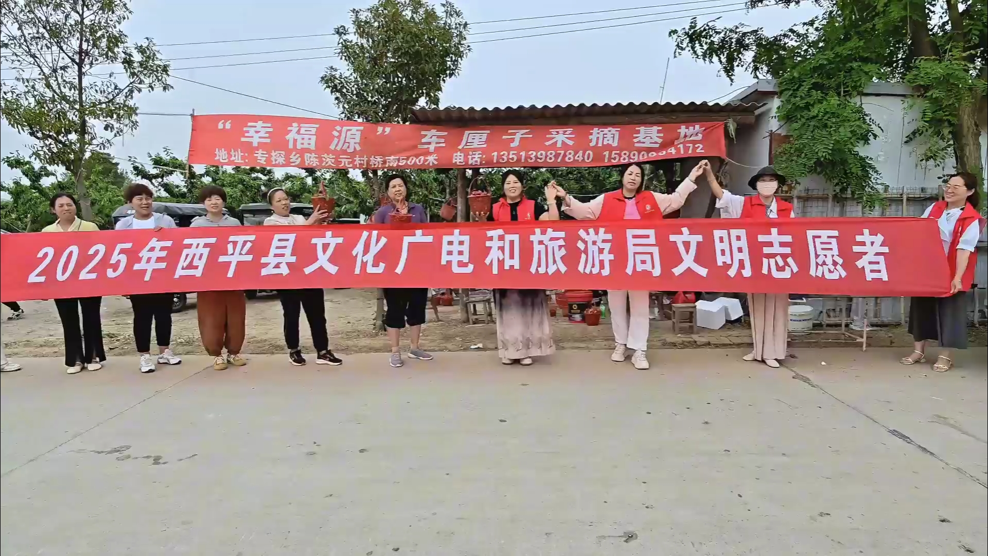  “樱”为有你 生活美好：西平县文旅志愿者助力果农开启甜蜜丰收季