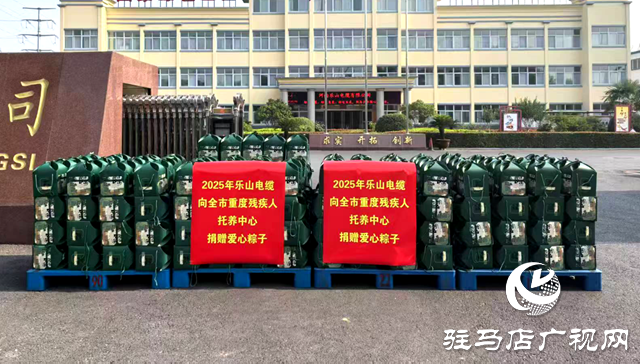 河南乐山电缆端午送温情  爱心粽暖驻马店残障群体