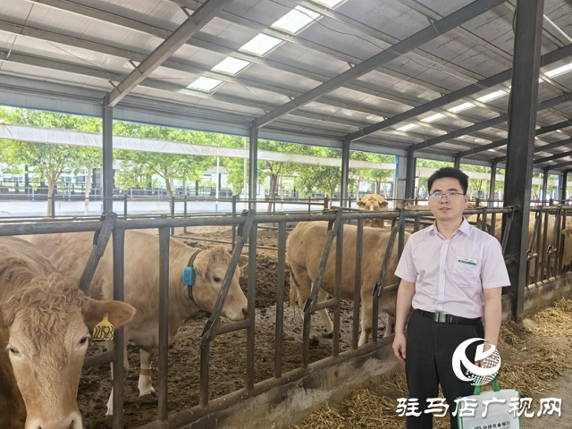 农行驻马店泌阳县支行吕绍勇：金融星火点亮乡村振兴路