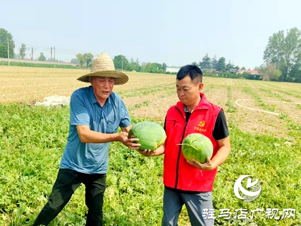 情系瓜农解急难 爱心助销人心暖