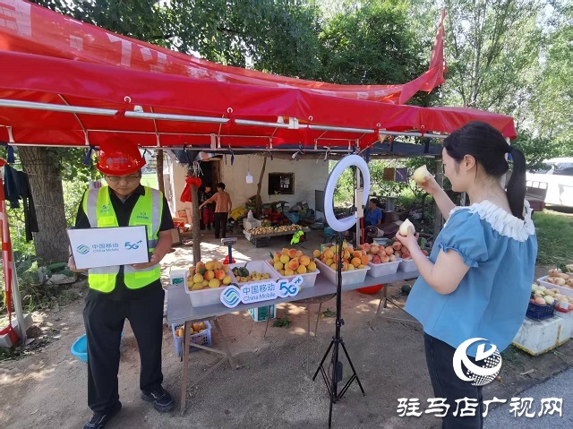 驻马店移动为桃农提供优质网络保障