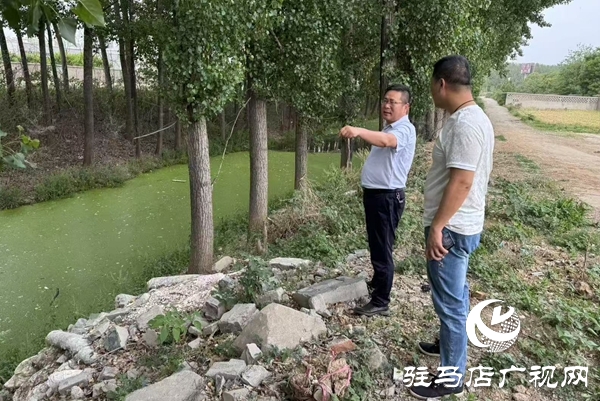  西平县柏城街道排查采样城区水体 为水环境治理“开良方”