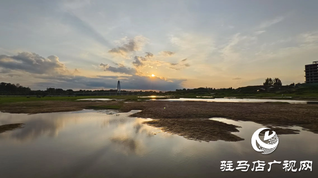 【大美天中】不输远方 泌阳湿地公园成“家门口的阿勒泰”