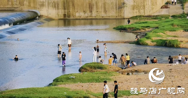 【大美天中】不输远方 泌阳湿地公园成“家门口的阿勒泰”