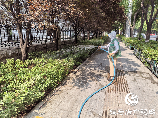  开发区城市管理局：全力打好“战高温 保绿荫”攻坚战 守护城市绿色风景线