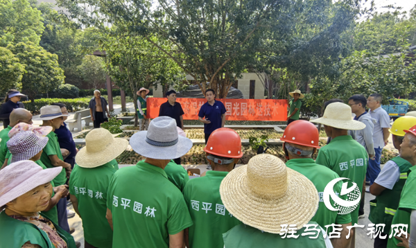  西平县城管局园林绿化中心开展夏季苗木抗高温养护培训