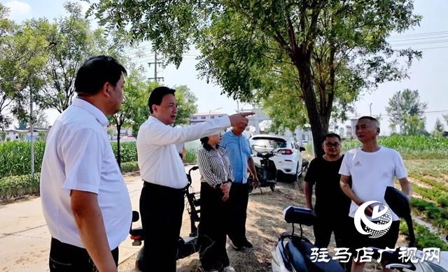  西平县委书记侯公涛一线督导抗旱保秋 全力守护“粮袋子”“钱袋子”
