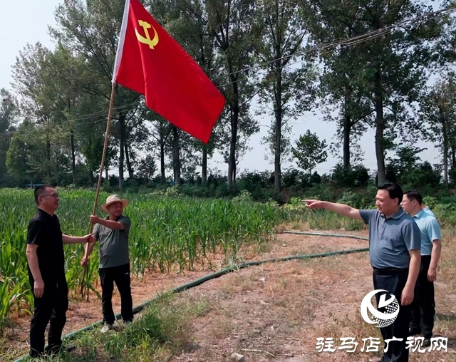  西平县委书记侯公涛深入部分乡镇一线调研抗旱保秋工作
