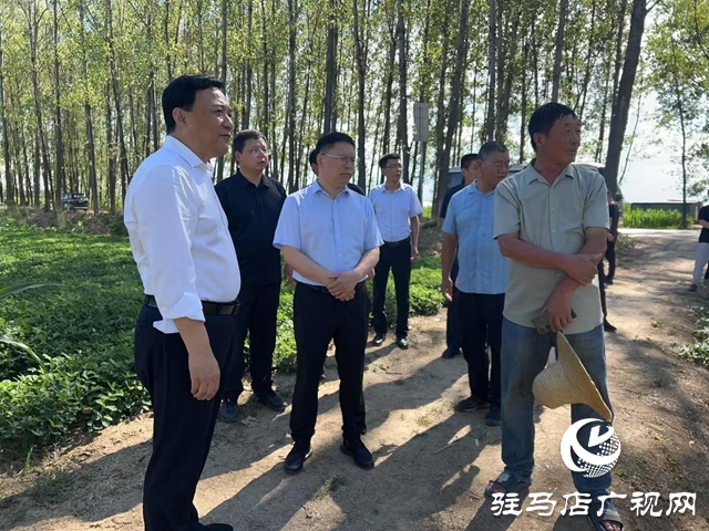  西平县委书记侯公涛调研：聚焦产业与民生 筑牢发展安全线