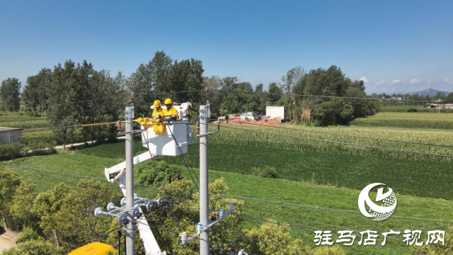 国网确山县供电公司：进行带电接火作业 确保线路不停电