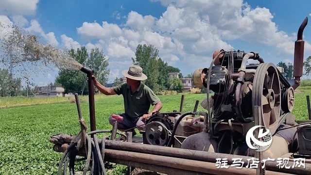  新蔡县砖店镇：干群同心抗旱情 全力保秋稳增收