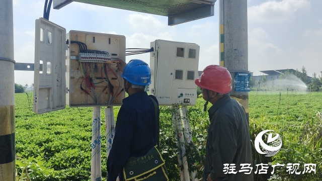 国网新蔡供电公司全力抗旱保电 守护民生与农耕“生命线”