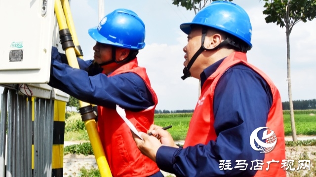 国网平舆县供电公司：抗旱保电润芝麻 电力护航保丰收