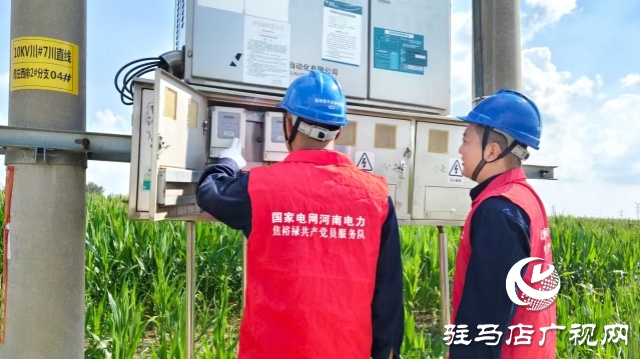 国网西平县供电公司：抗旱保电“加速度” 守护田间“生命线”
