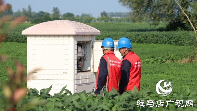 国网正阳县供电公司：电力护航战旱情 清流润田解民忧