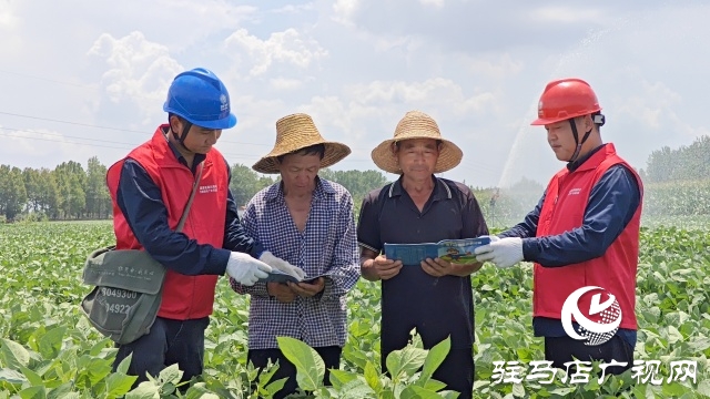 国网汝南县供电公司：把好三道关口 护航抗旱保电