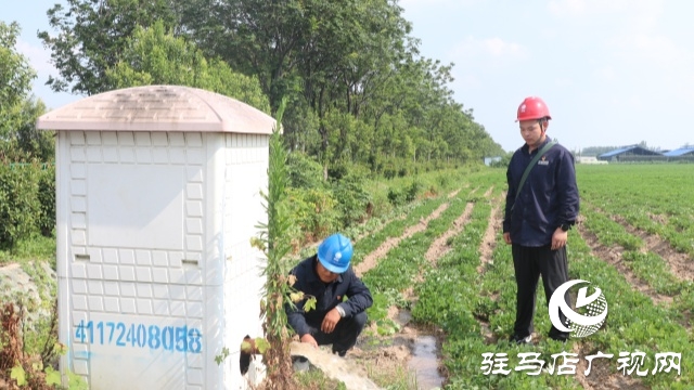 国网正阳县供电公司：电力护航战旱情 清流润田解民忧