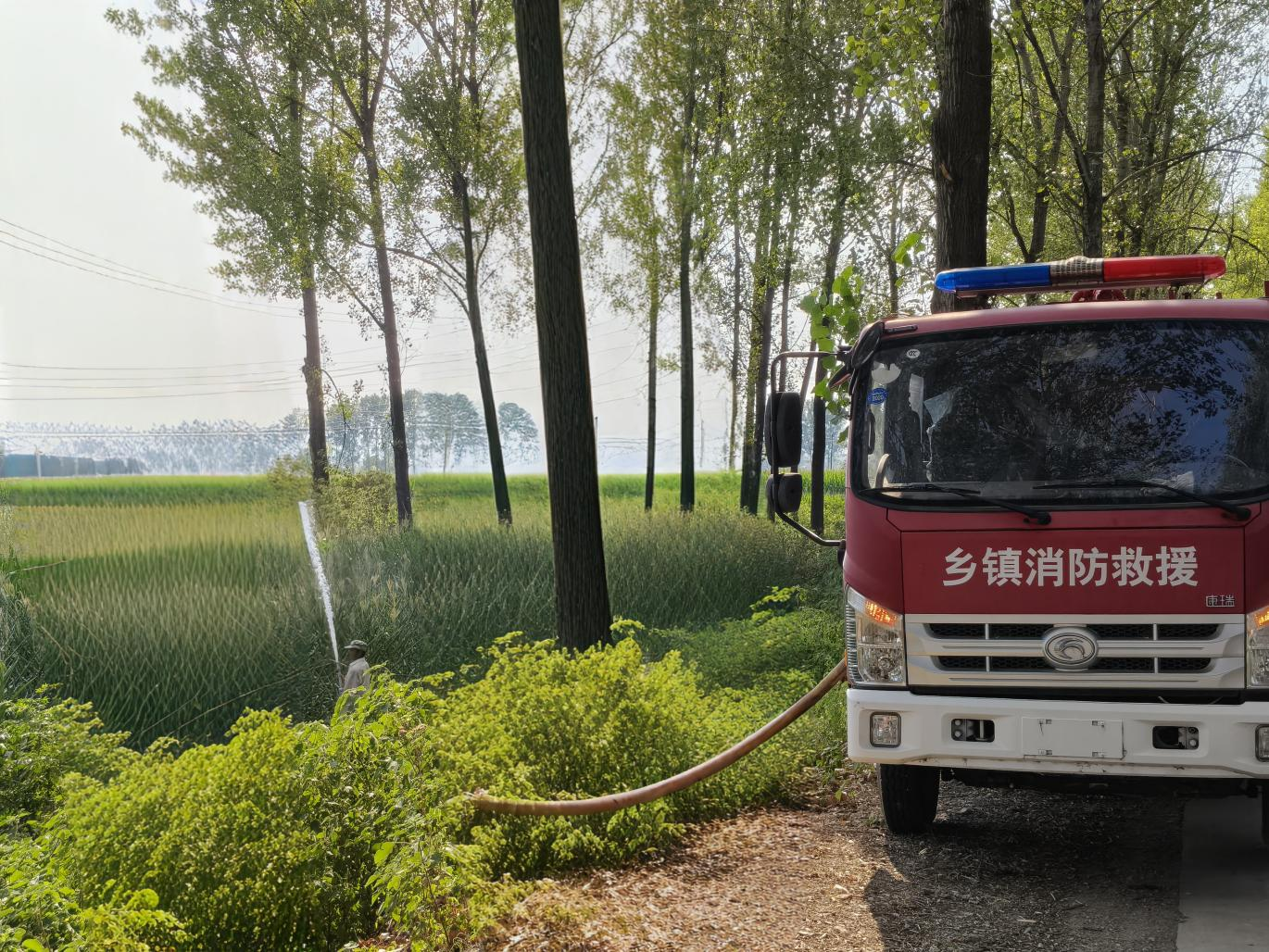 玉山镇多点发力抗旱保秋 筑牢粮食安全防线