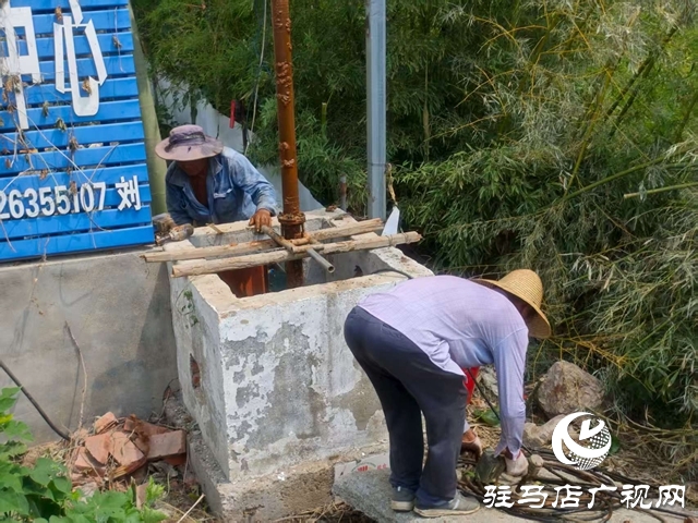 西平县出山镇：党建引领聚合力 抗旱保秋显担当