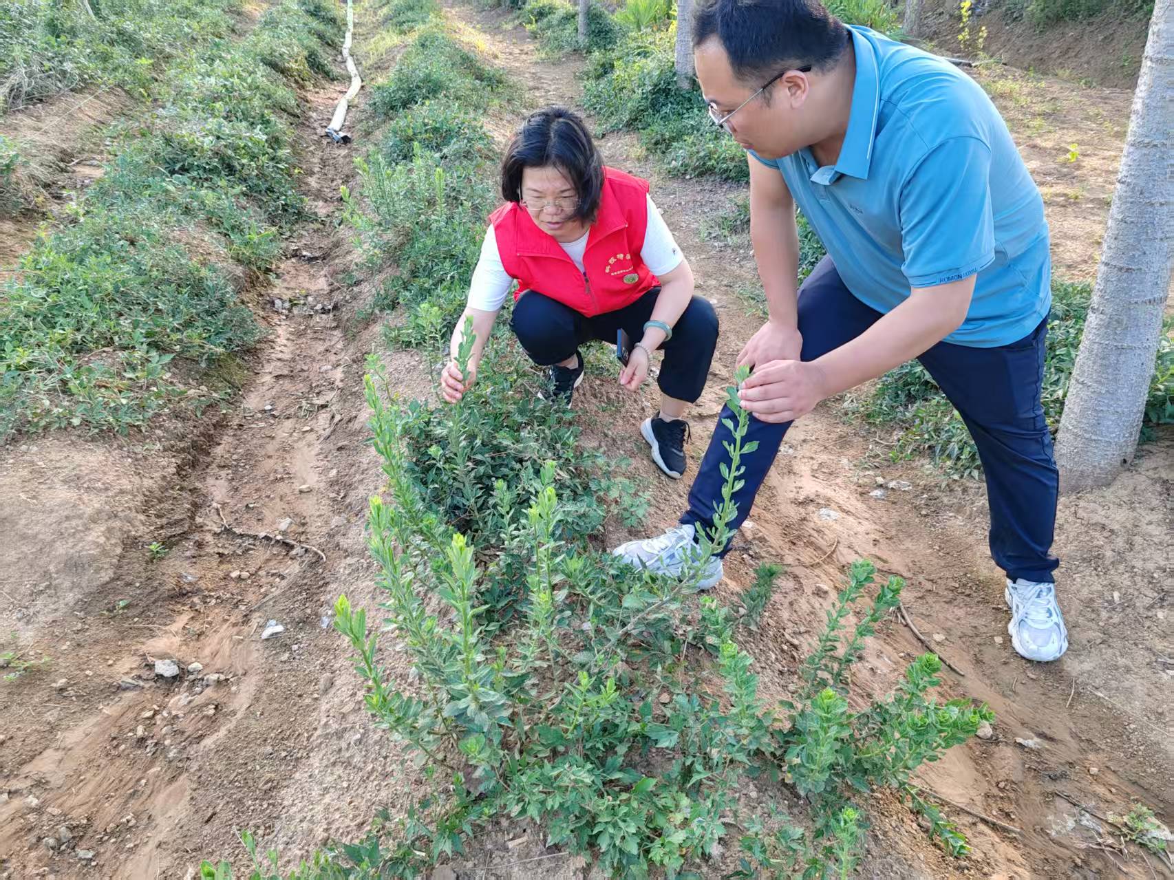 用科技力量守护“道地药香”　助力“中国药谷”建设