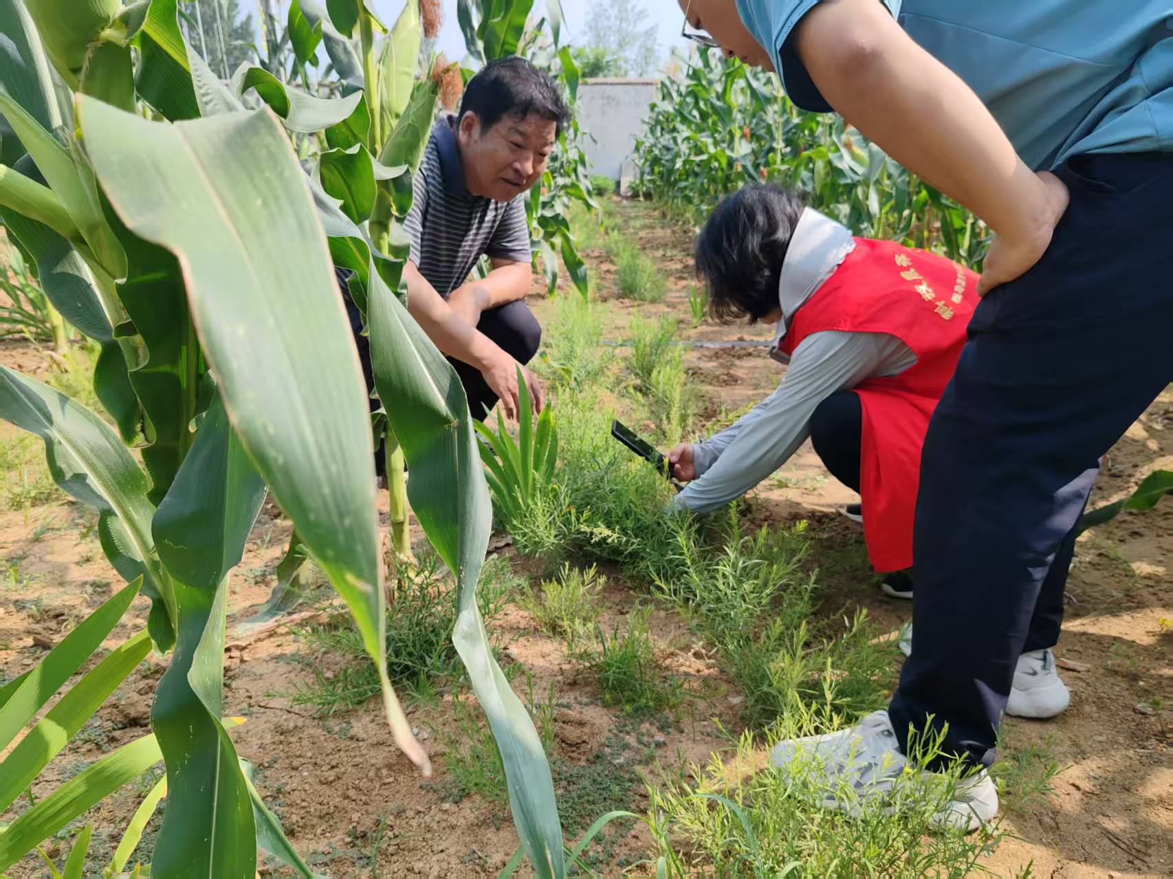用科技力量守护“道地药香”　助力“中国药谷”建设