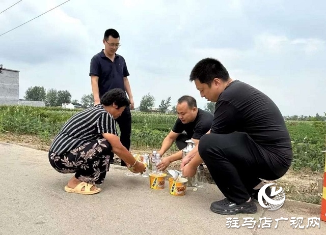 新蔡县杨庄户乡：暖心午餐送一线 干群同心保秋收