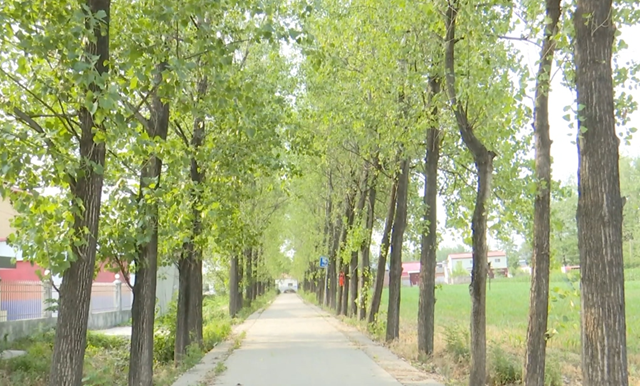 驿城区朱古洞村：文明生态村建设铺就乡村振兴路