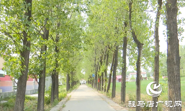 驿城区朱古洞村：文明生态村建设铺就乡村振兴路