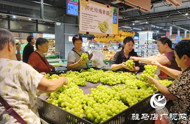 阳光玫瑰价格 “大跳水” 从 “贵族水果” 变市民餐桌常客