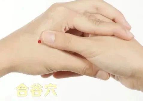 立秋如何养肺？怎么吃更健康？换季养生小贴士请查收