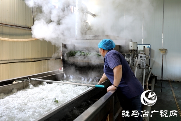 平舆县：小芝麻叶“织”就富民大产业
