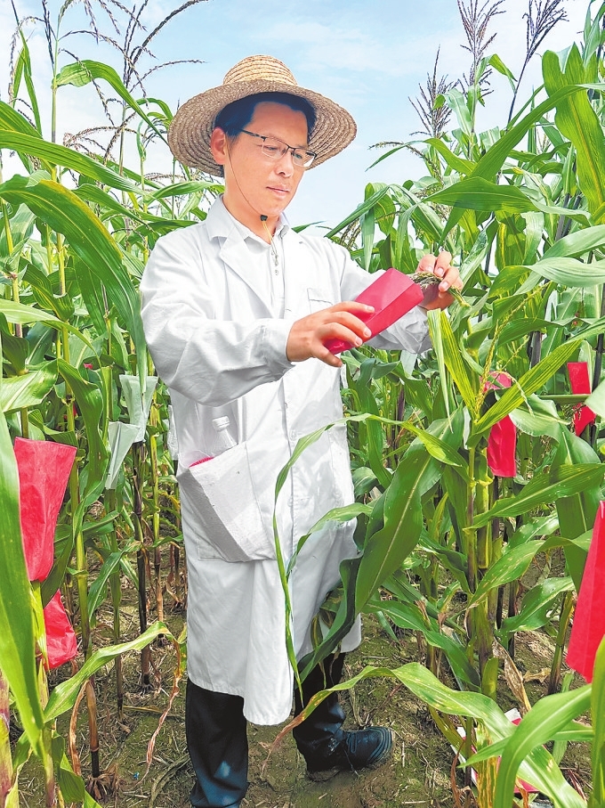 遭受六十四年一遇极端高温干旱“烤”验 抗旱保秋 河南够拼