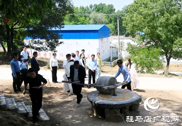 泌阳县王店镇昌庄村：山水绘就画卷 芳香点亮乡村新篇