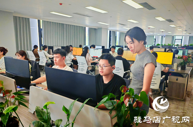 平舆县：传统农业县“链”接全球 数字贸易港加速成型