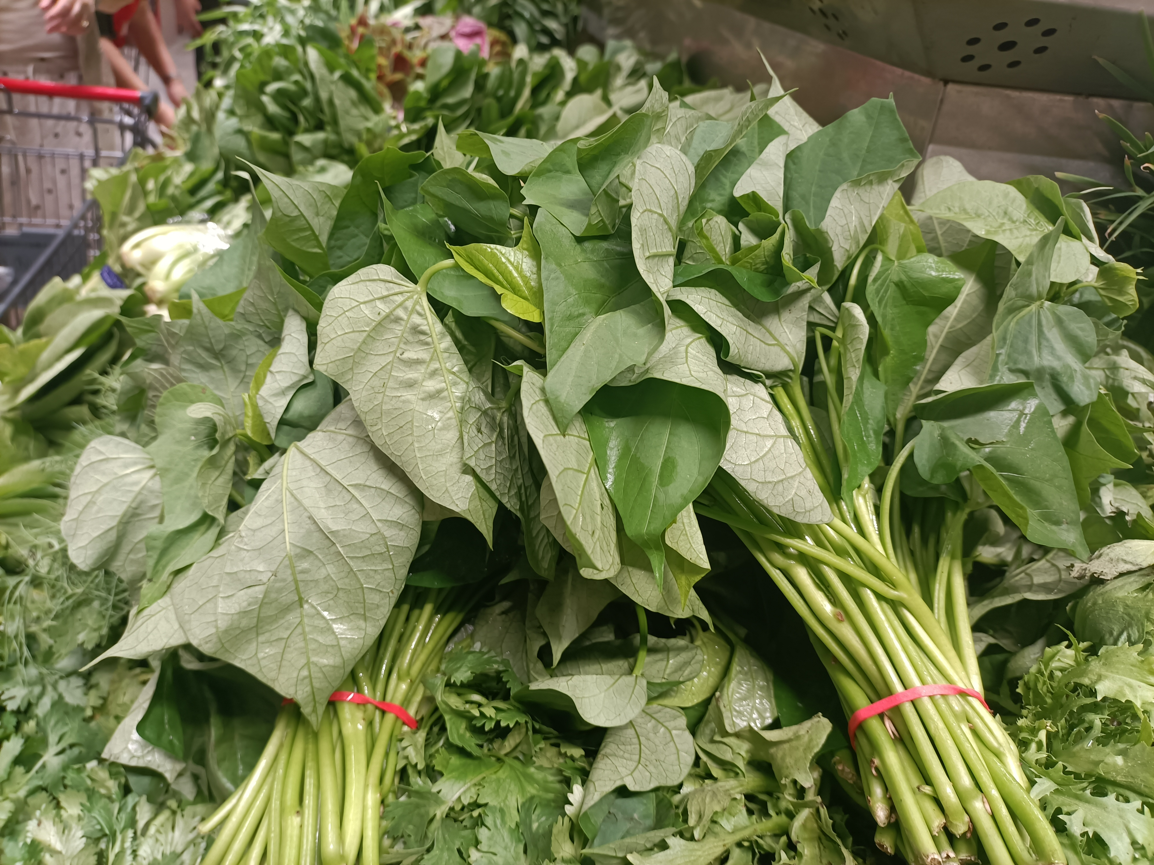 “红薯叶抗癌”引发关注 医生提醒：理性看待食物功效