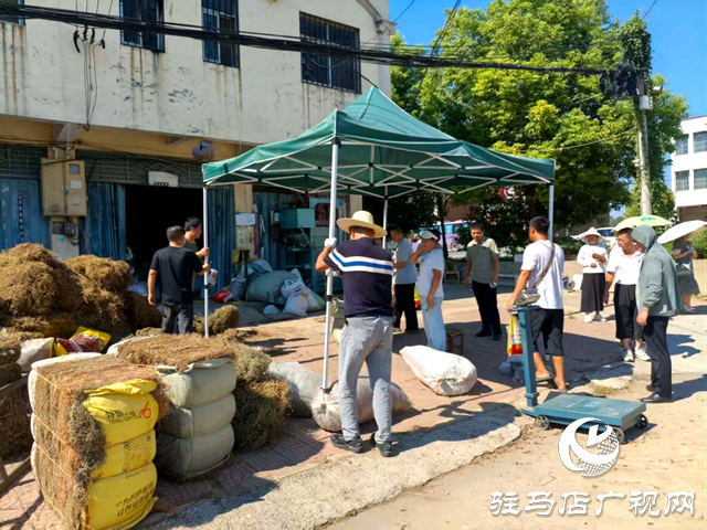 确山县任店镇：开展集镇整治 加强路域管理