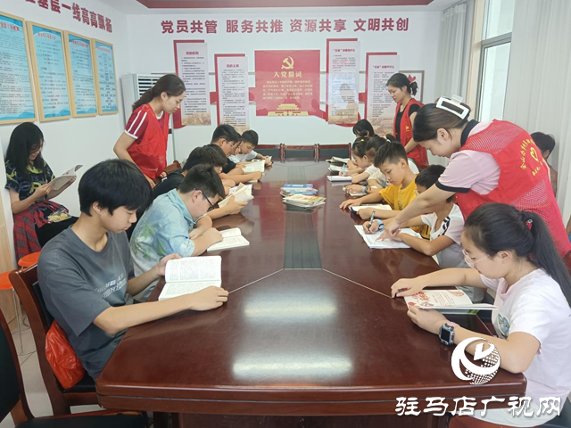 驻马店经济开发区界牌社区开展暑期大学生实践服务活动