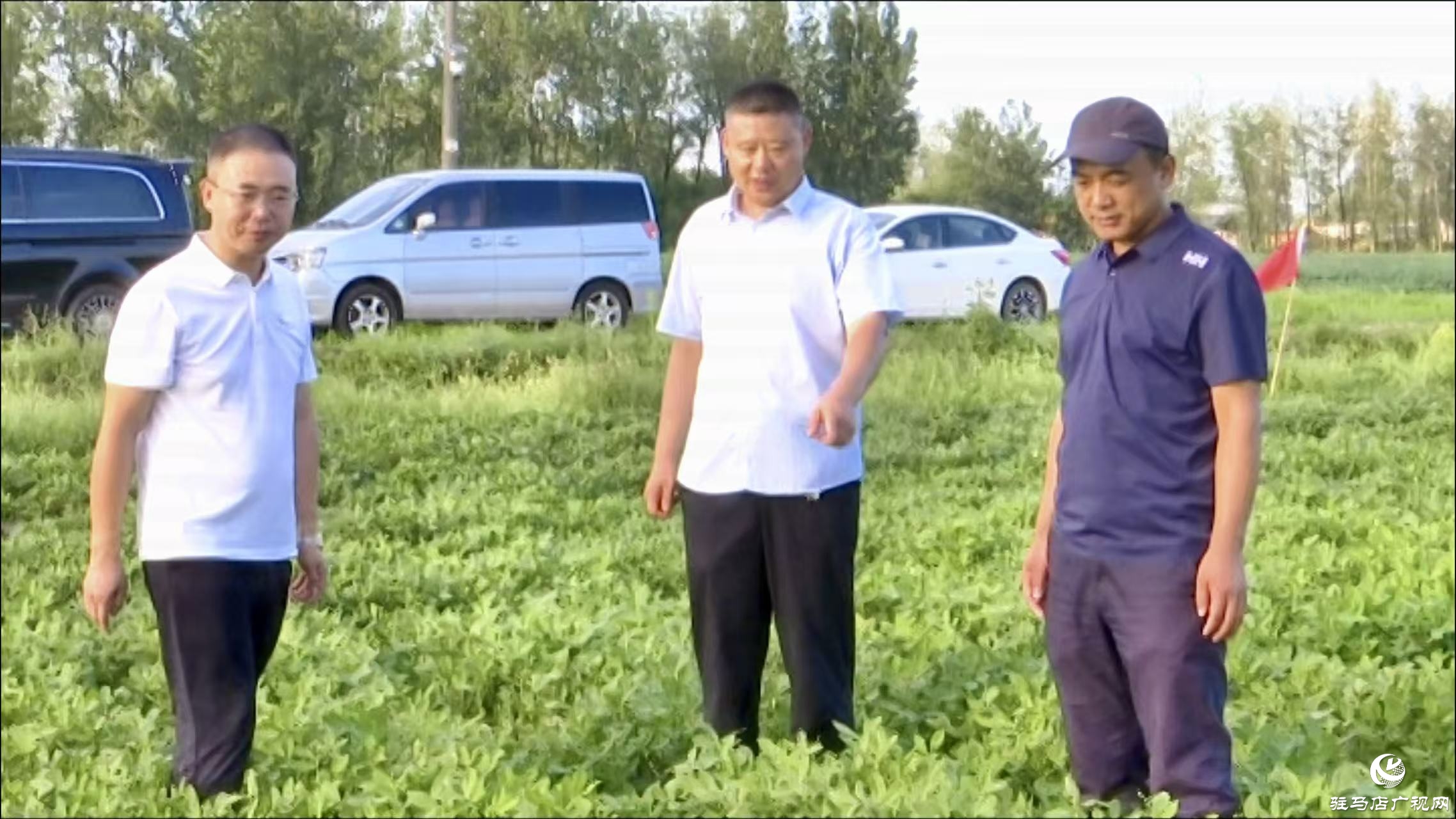 正阳县：农技人员抢抓农时 田间“把脉问诊”
