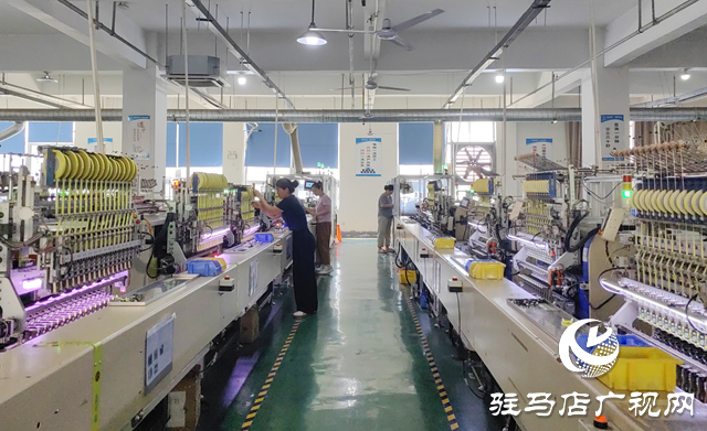 泌阳县：“数字引擎”赋能县域经济高质量发展