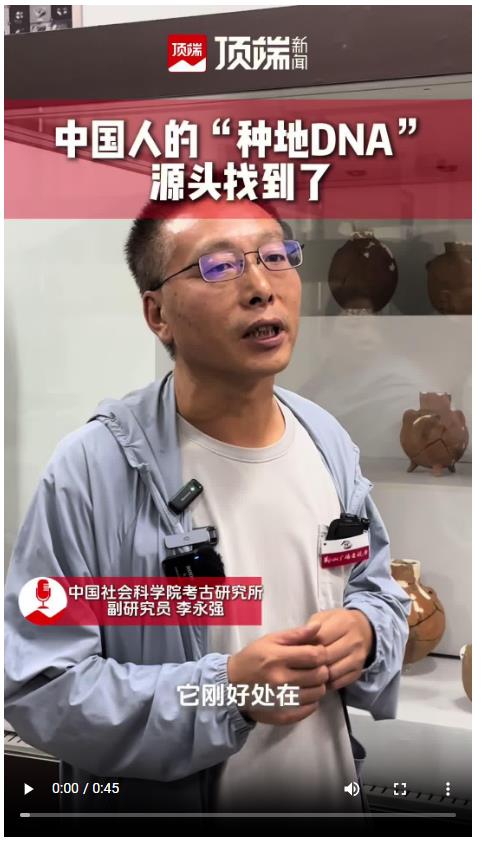 中国人“种地DNA”的源头，藏在8000年前的河南