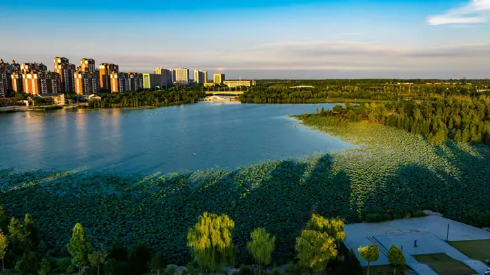 县区动态 | 玉湖公园景色如画