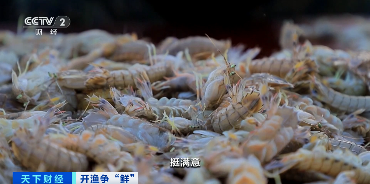 大降价！低至十元一斤！你爱吃的它，便宜了