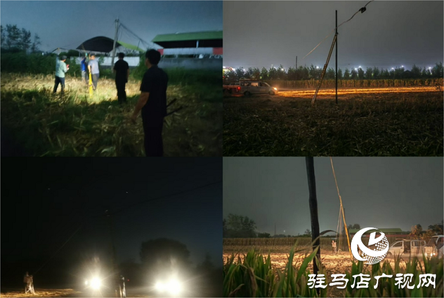 驻马店联通驿城区分公司连夜抢修倒断通信杆 全力保障秋收期间网络畅通