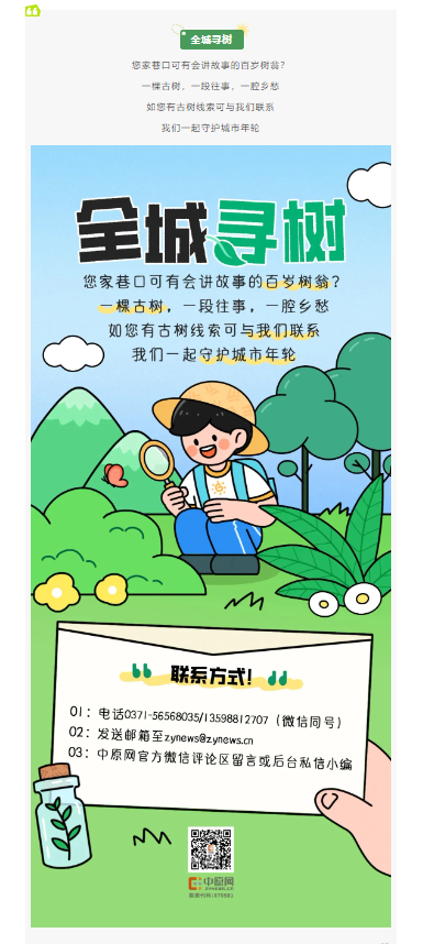 古树长歌 | 嵩山脚下古道边，七棵栎树跨越千年
